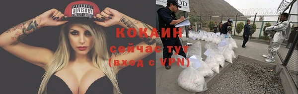 соль ск Краснослободск