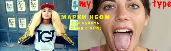 соль ск Краснослободск