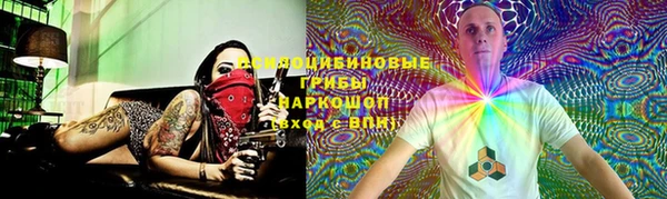 соль ск Краснослободск