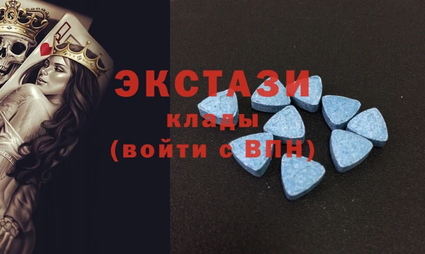 соль ск Краснослободск