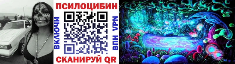 Галлюциногенные грибы Psilocybine cubensis Купить Кохма